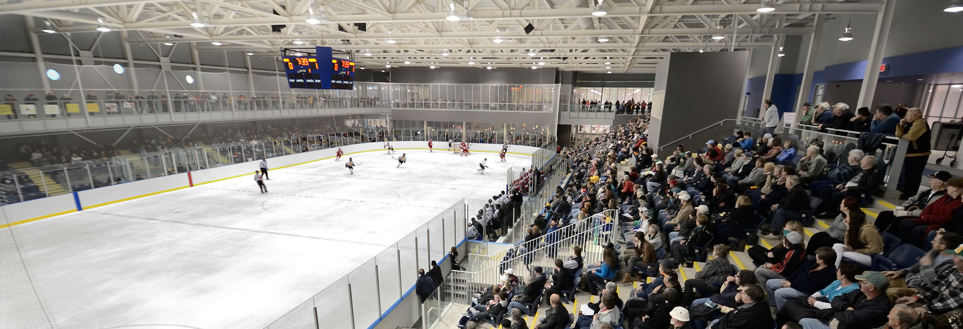 Arenas-and-Skating-Interior-page.jpg