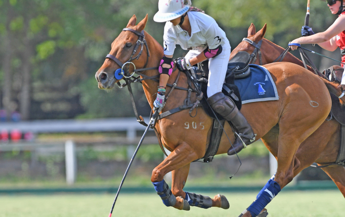 Aiken Polo Club7