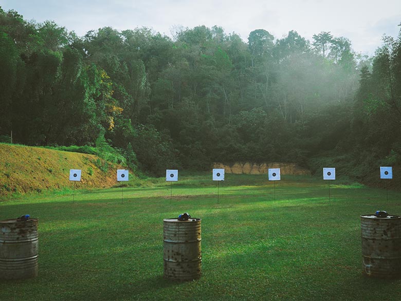 Gun 6