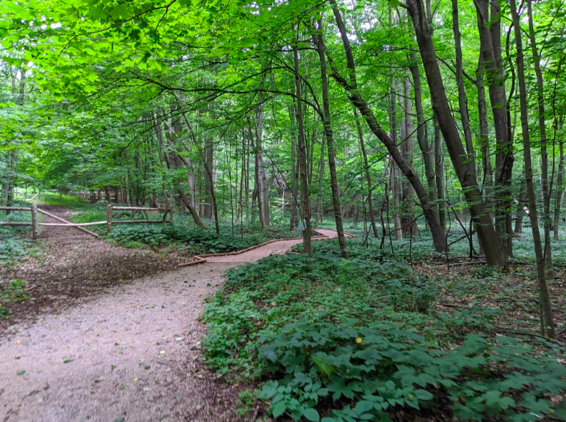 Arcadia Dunes 3