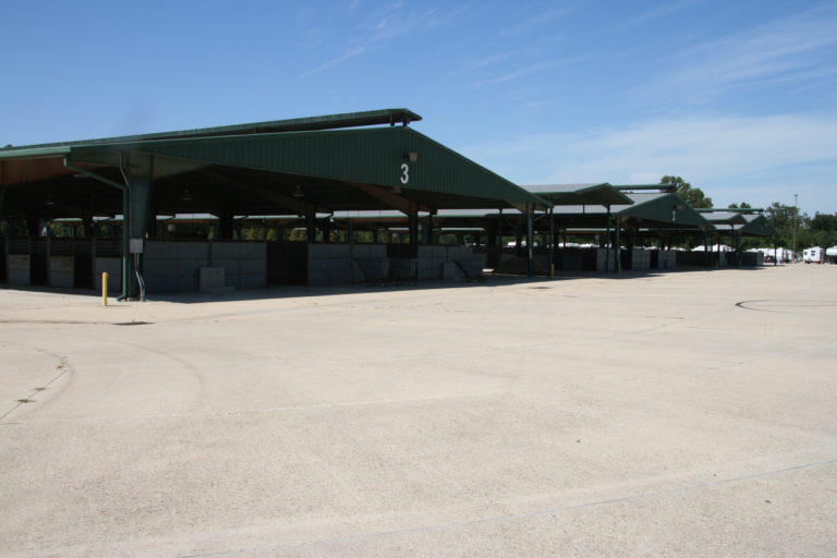 Pavilions 1.jpeg