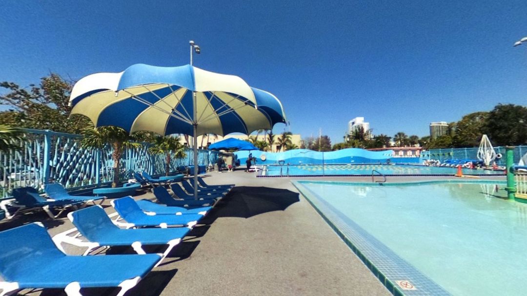 Flamingo Park 3