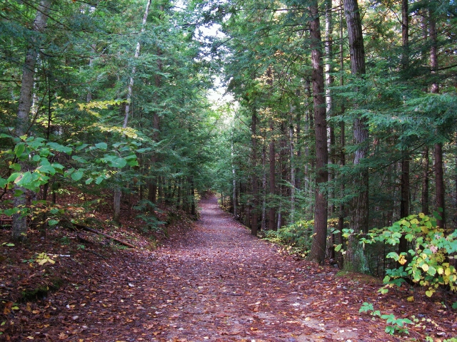 Berry Pond Preserve 4