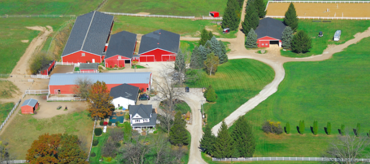 crystal farms equestrian  2