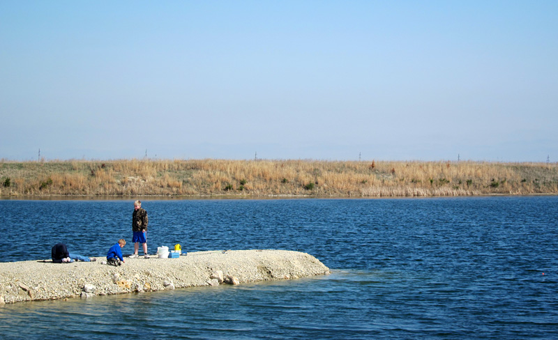 Bluebill Wildlife Area 4