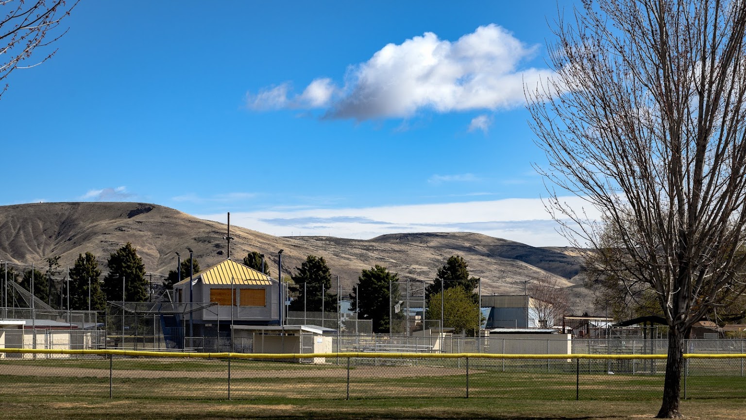 Elks Park Little League Complex 4