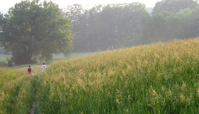 Hickory Meadows2