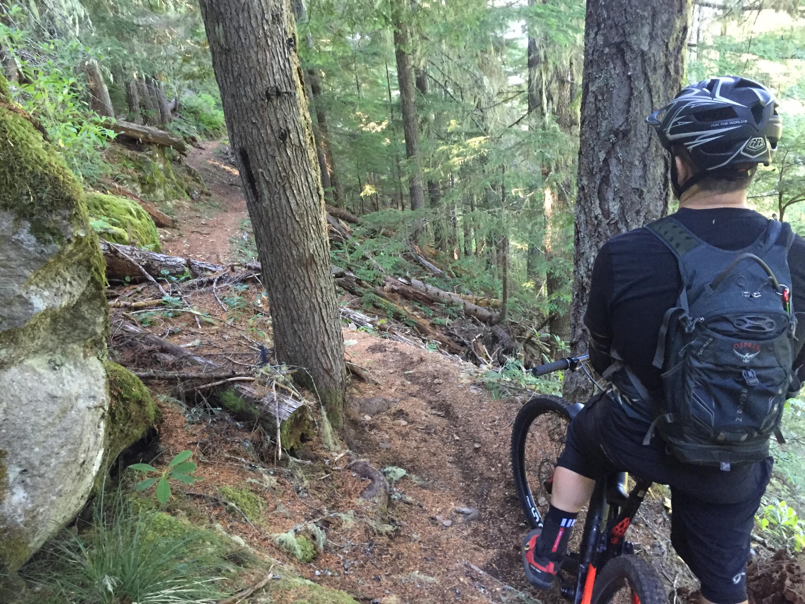 Olallie Ridge Loop 1