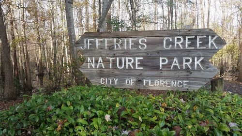 Jeffries Creek Park 4