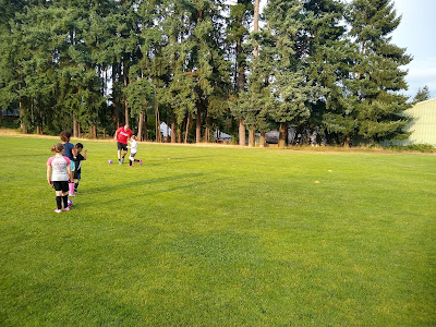 Forest Crest Playfield Complex3