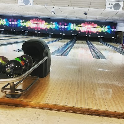 Bowl Winkle's 5