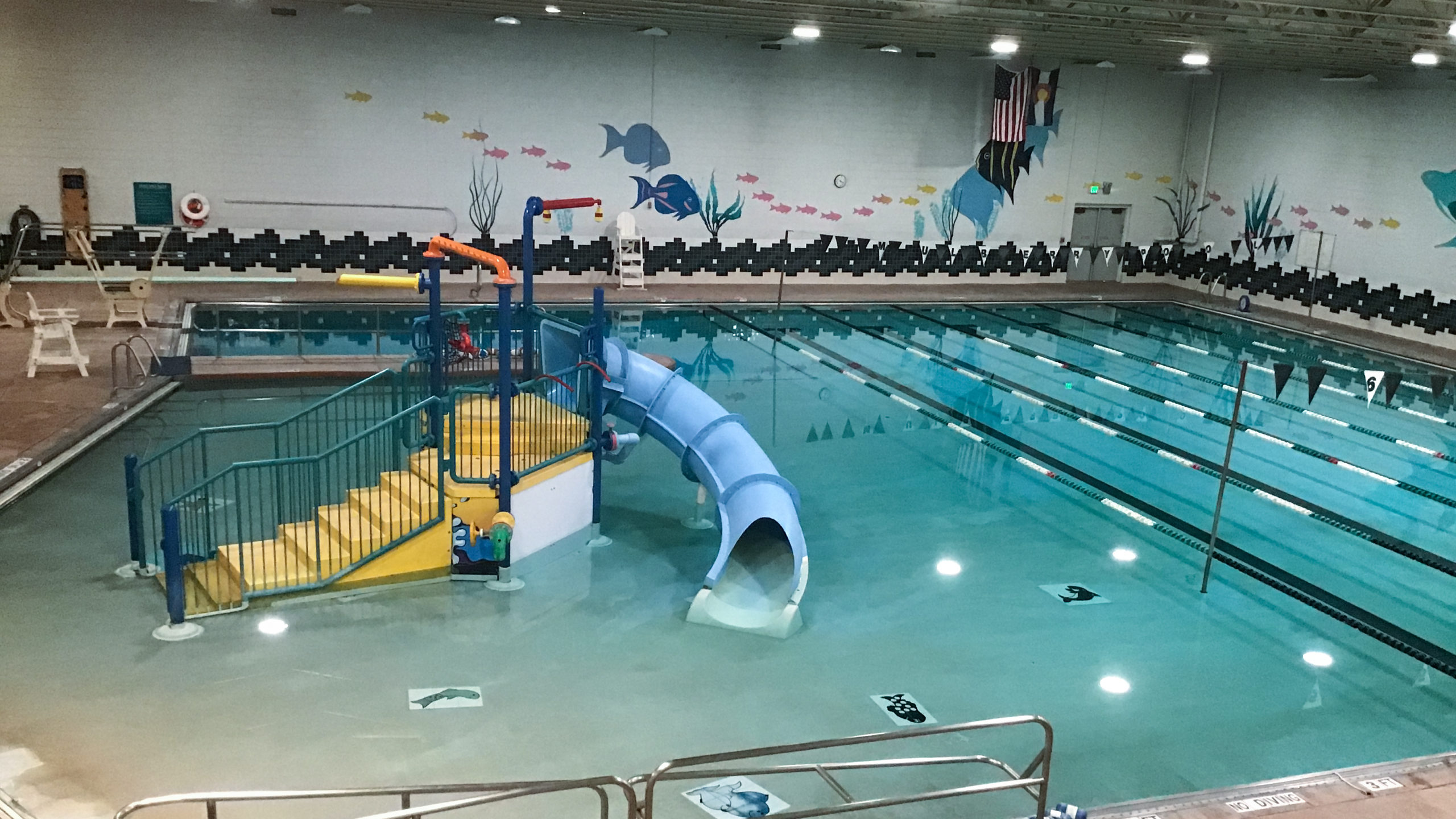 Mulberry Pool fort collins.jpeg