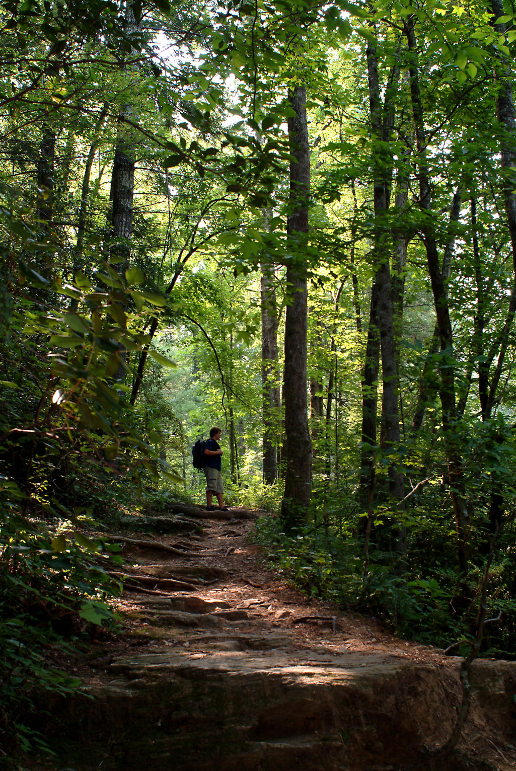 Paris-Mountain-Trail-035c6fb85056a36_035c7750-5056-a36f-233e52293ede4806