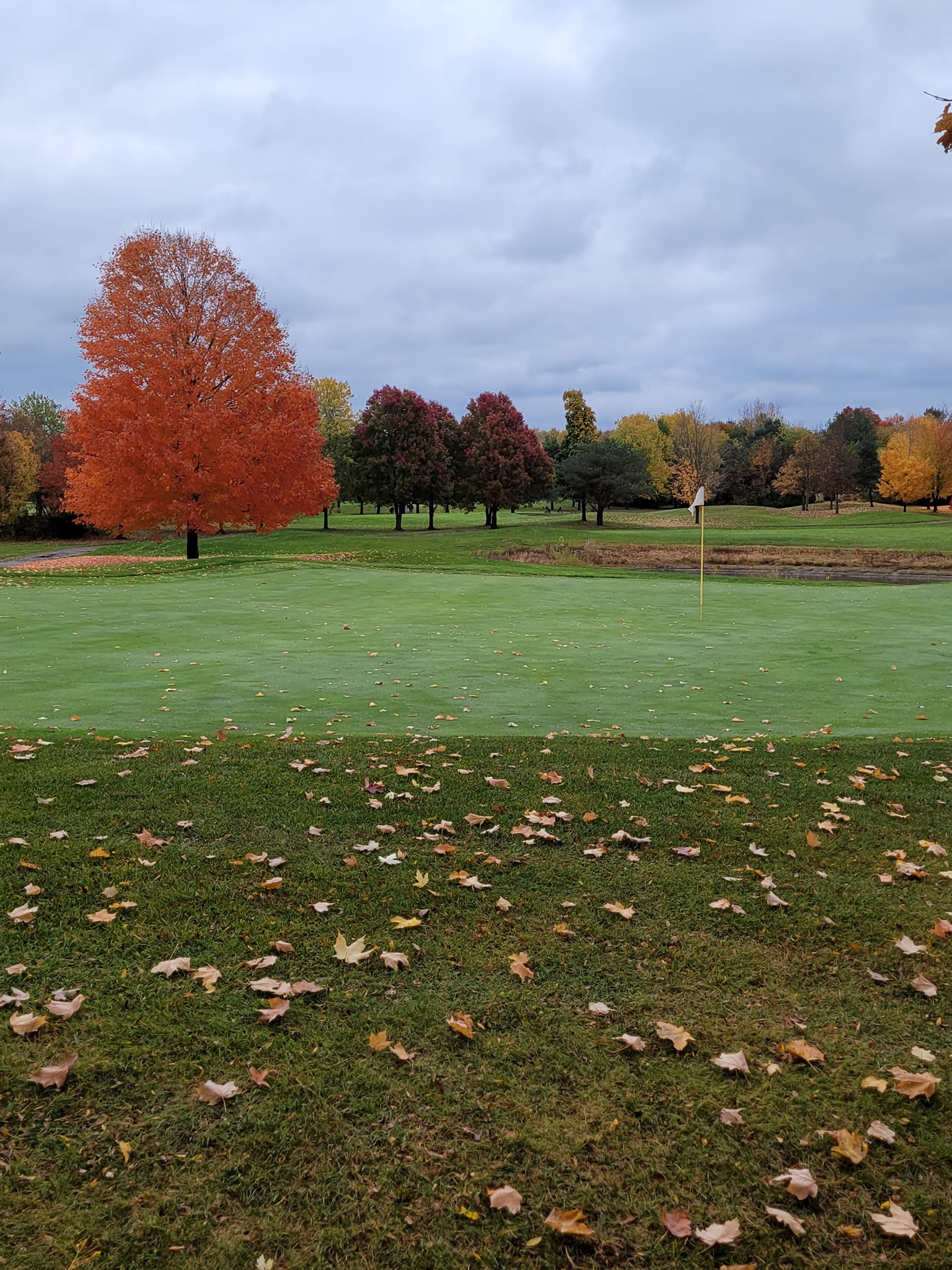Golden Hawk Golf Club 5