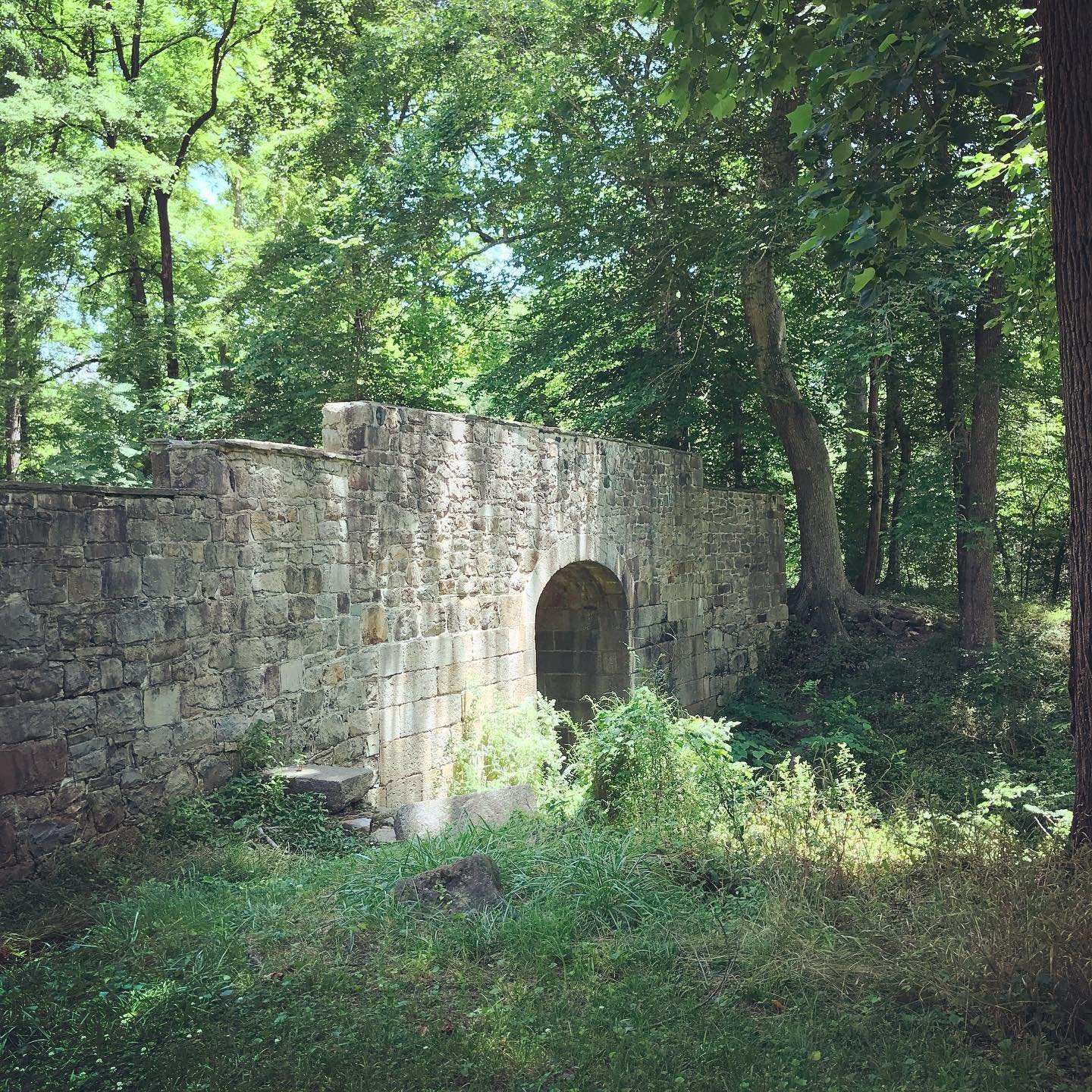 Landsford Canal State Park2