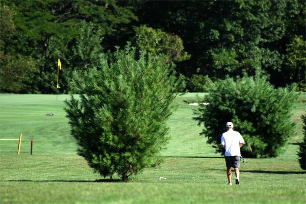 Rich Valley Golf10