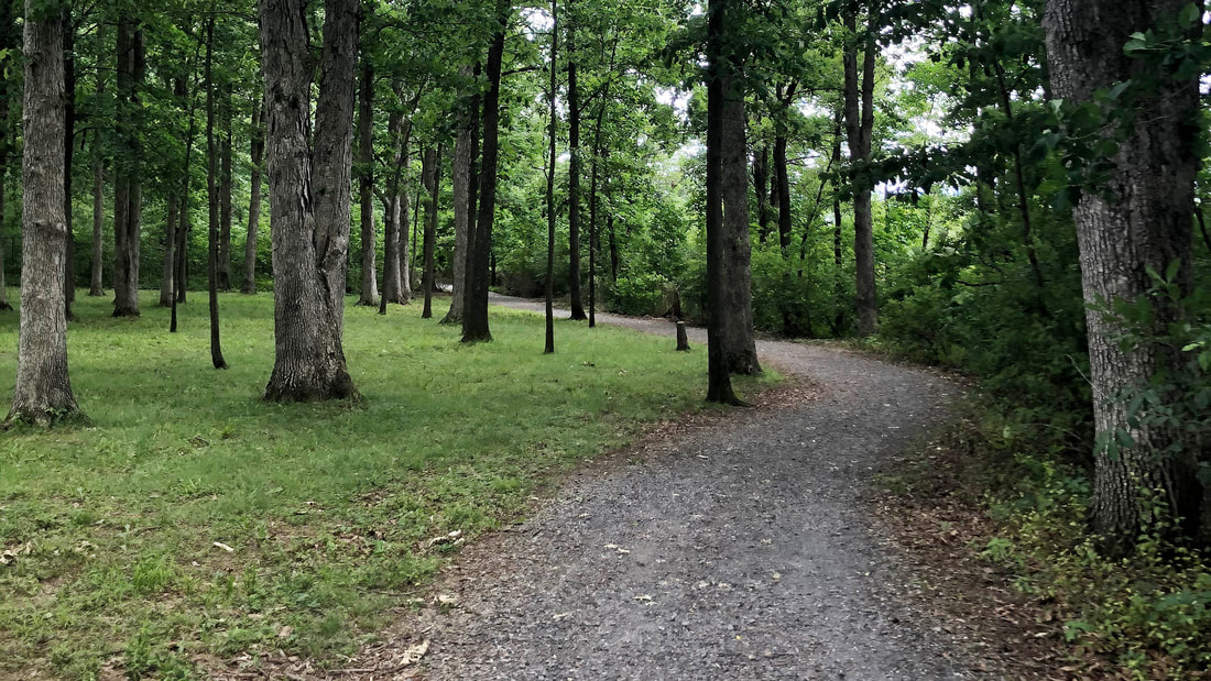 walking-trail_orig