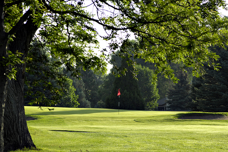 Meadowbrook%20Golf%20Course2