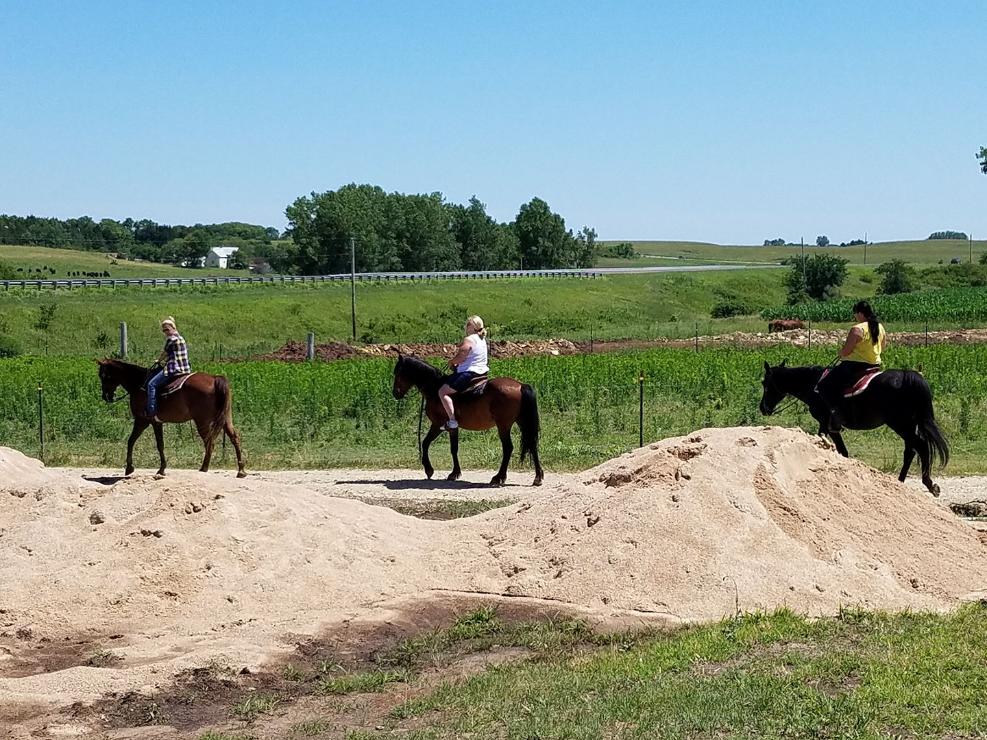 The Extra Mile Horseback Rides 3