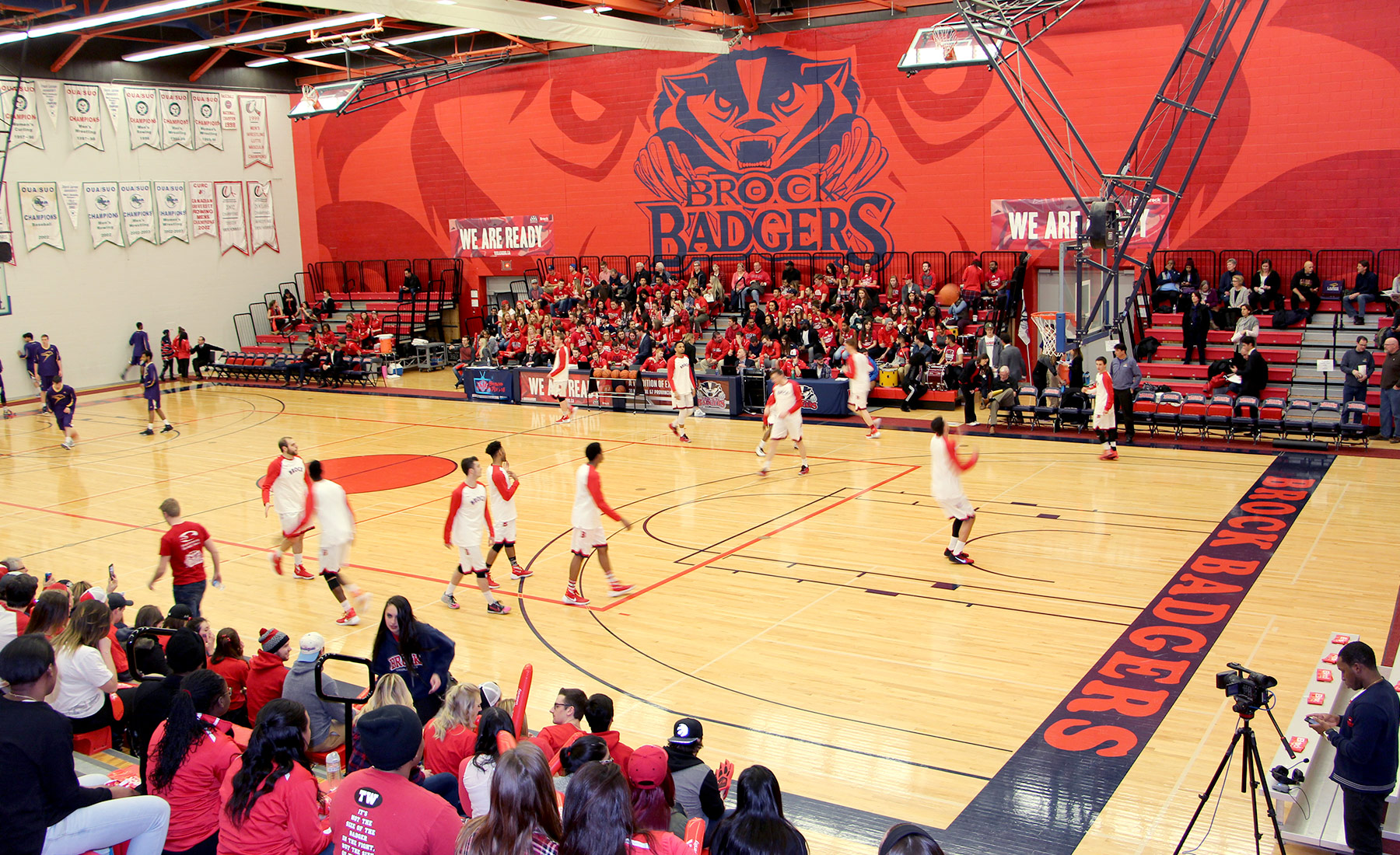 brock badgers basketball court.jpg