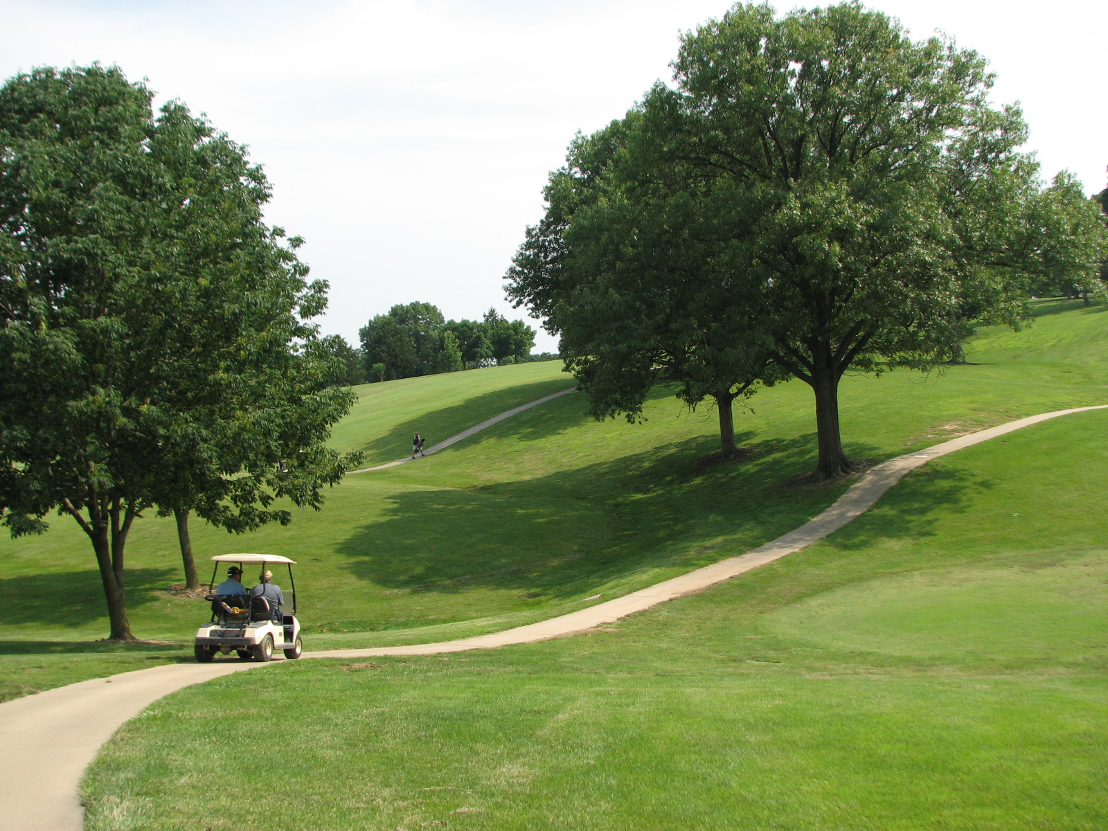 a.l. gustin golf course 4