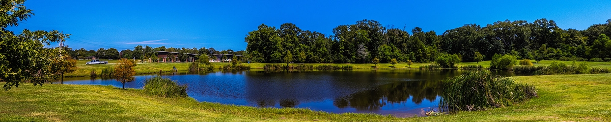 Central Park2 .jpg