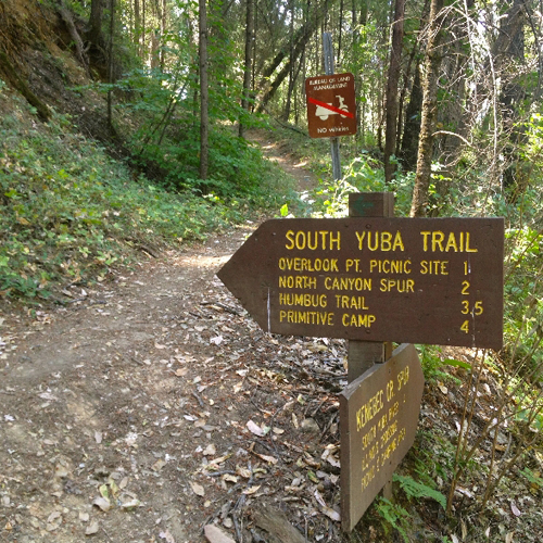 Yuba Creek Trail 3