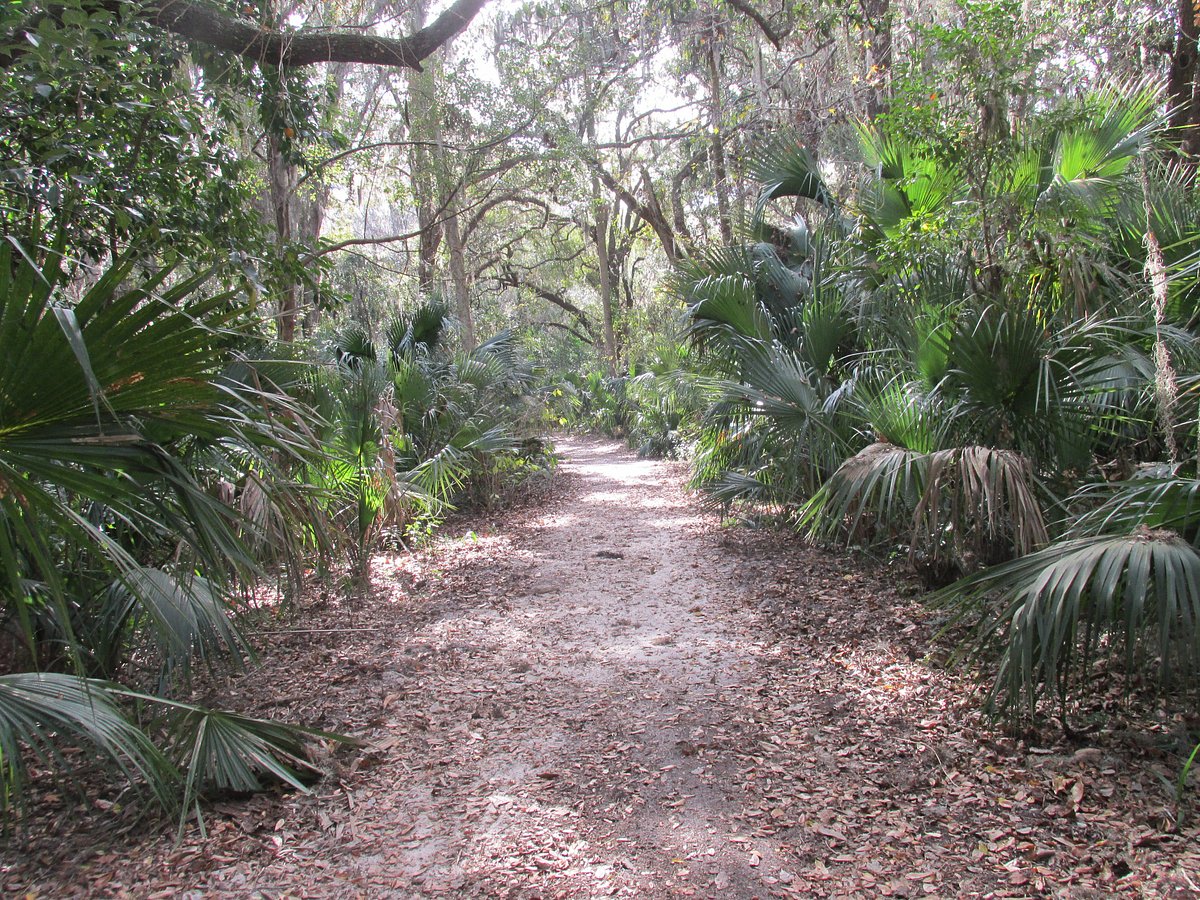 Gemini Springs Park3