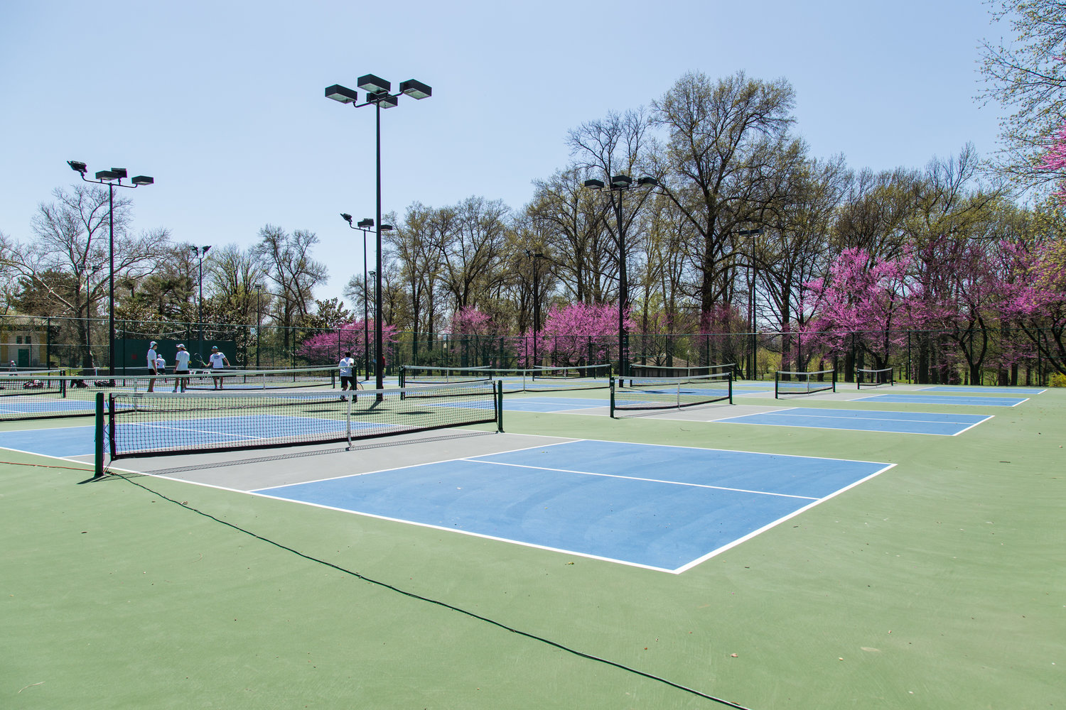 shaw park 4