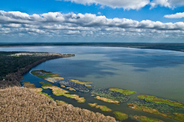 Newnans Lake 2