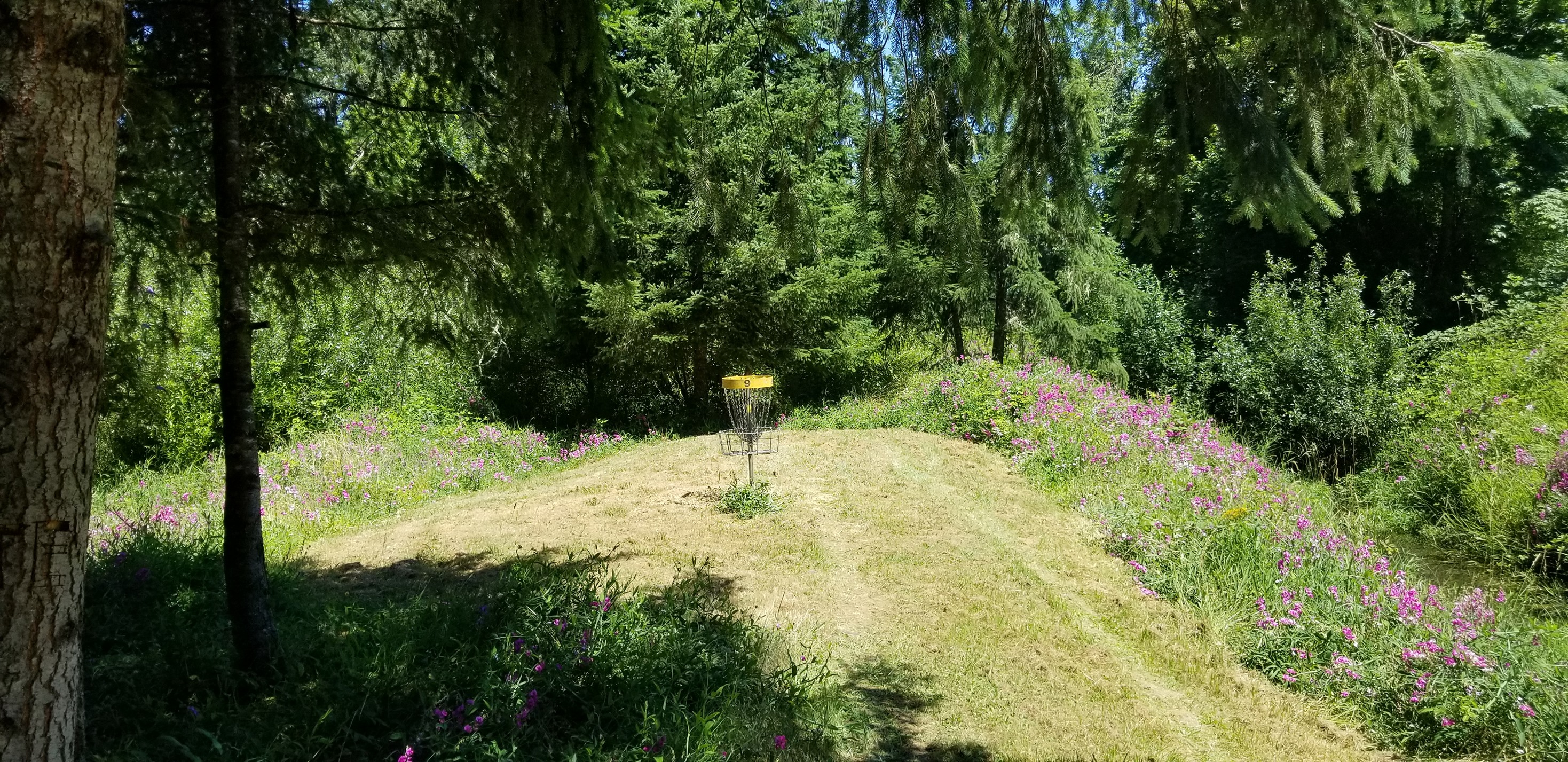Cottage Grove Disc Golf