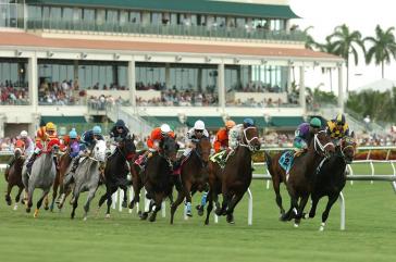 Gulstream Park Racetrack & Casino 4