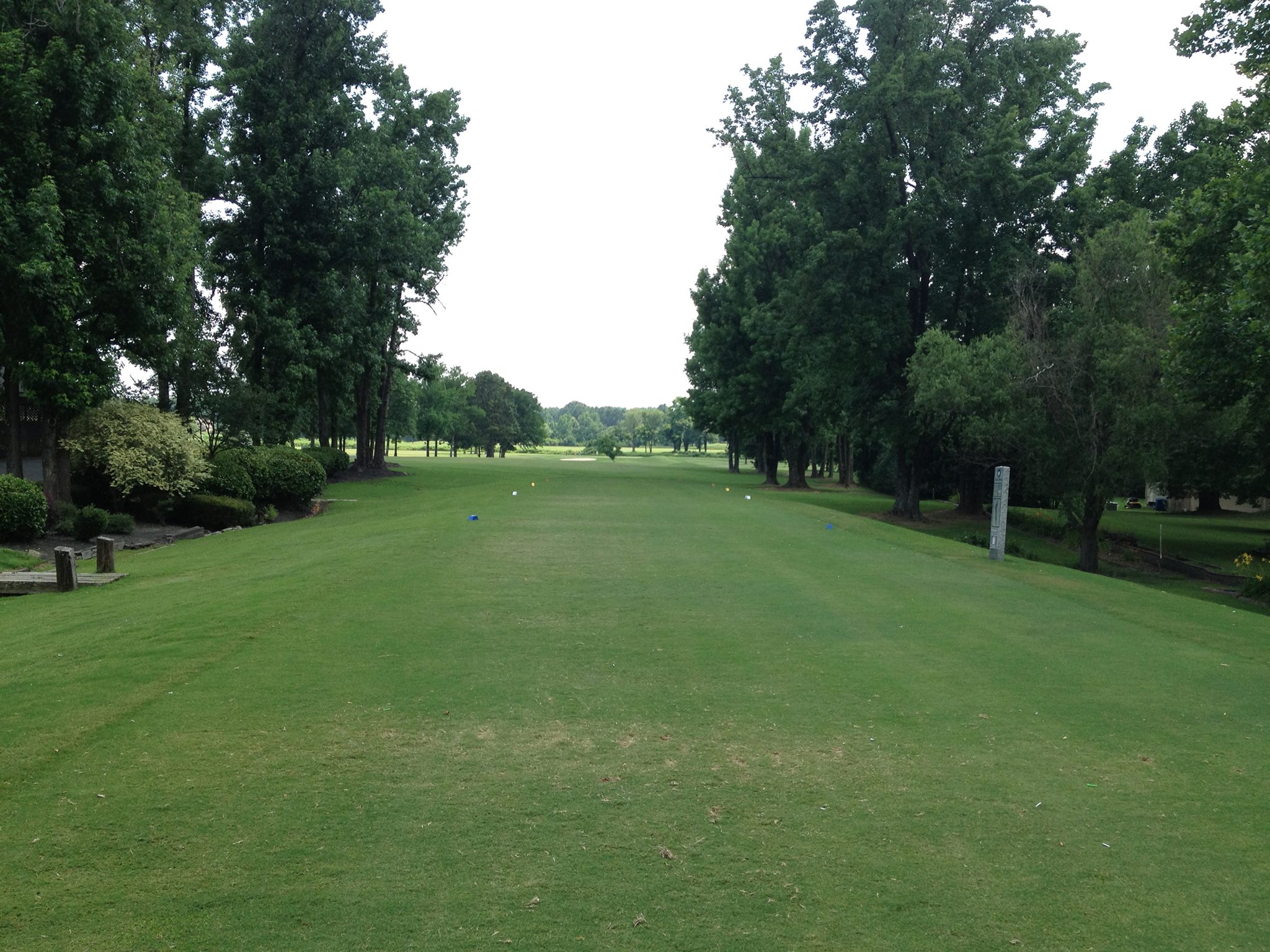 Wedgewood Golf Club6