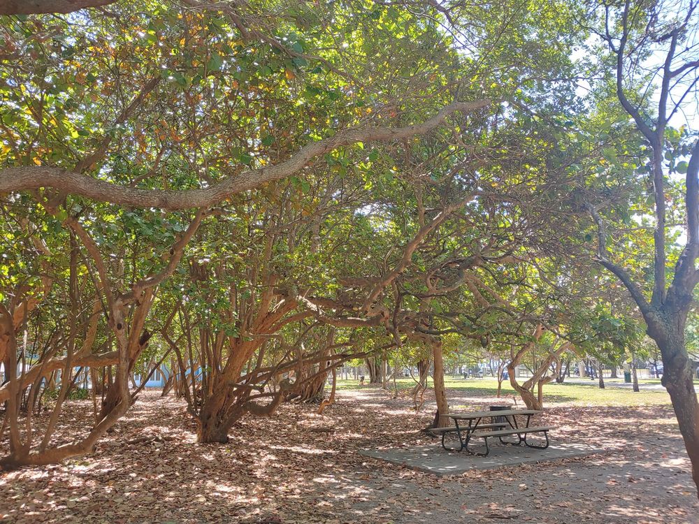 North Beach Oceanside Park2