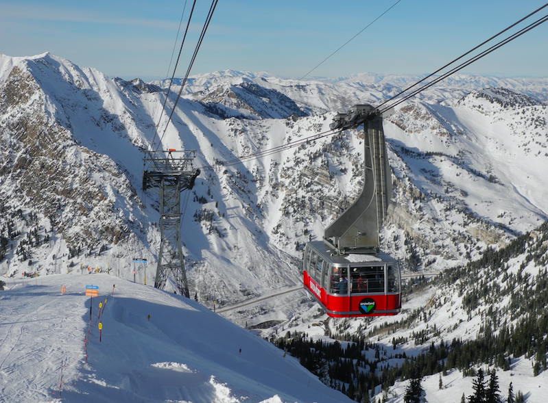 Snowbird  2