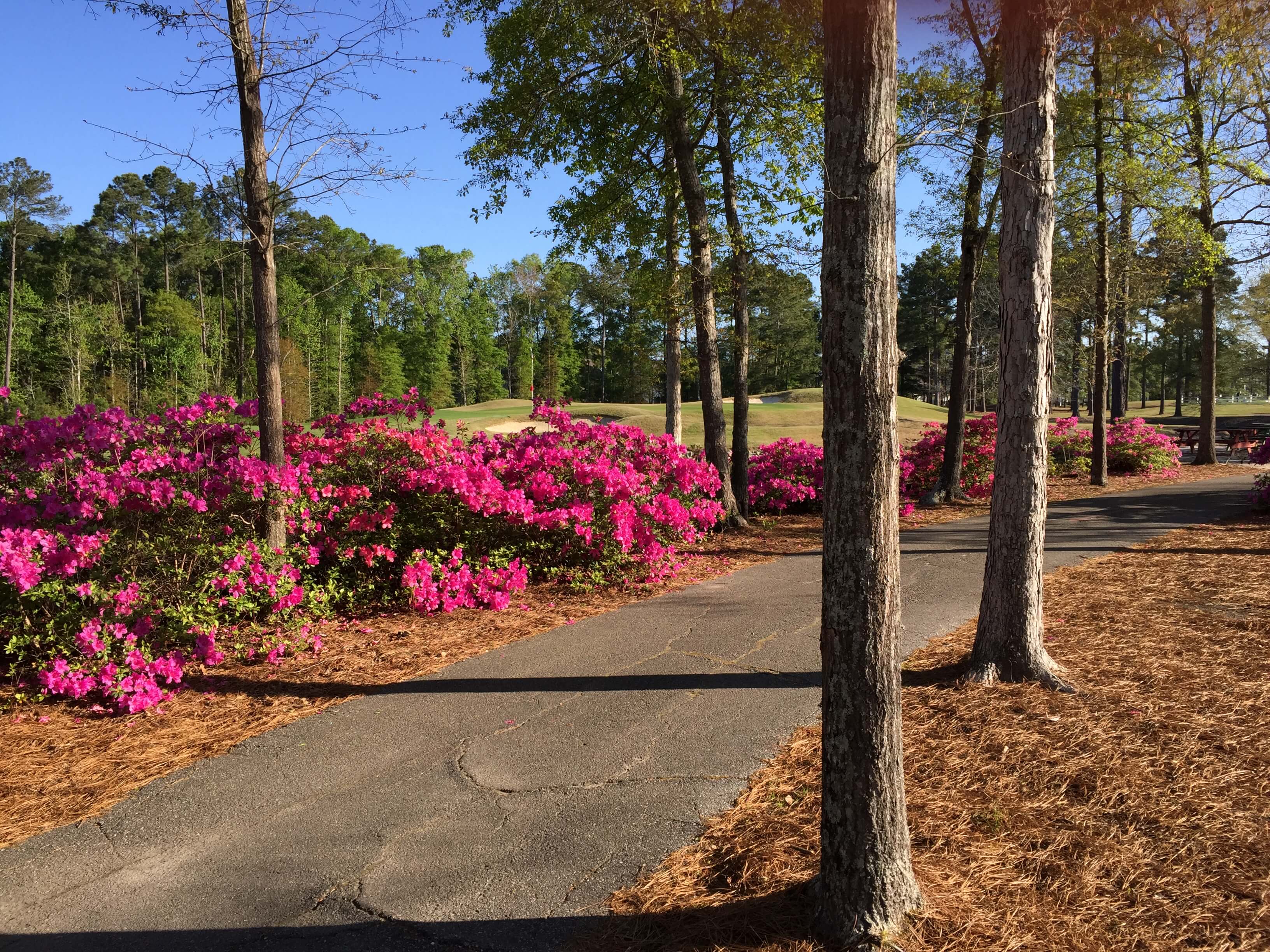 River Oaks Golf Club6