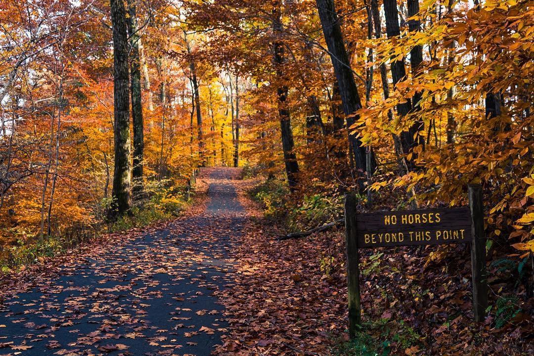 Tyler State Park 5