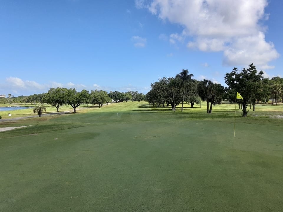 Dunedin Golf Club4