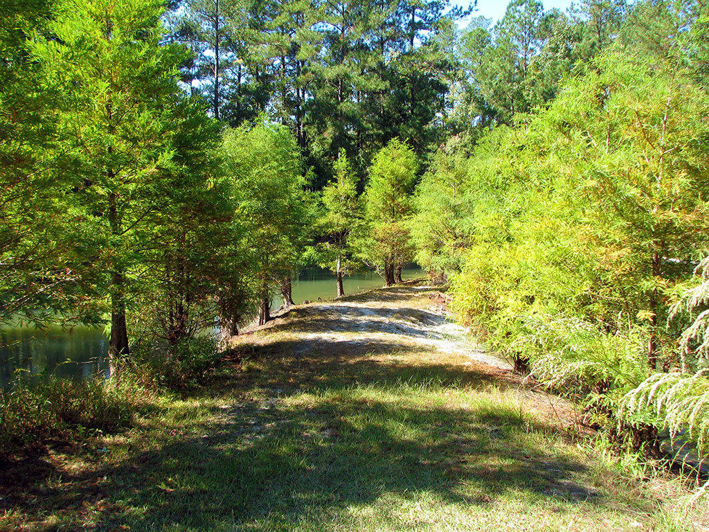 Cypress Park6
