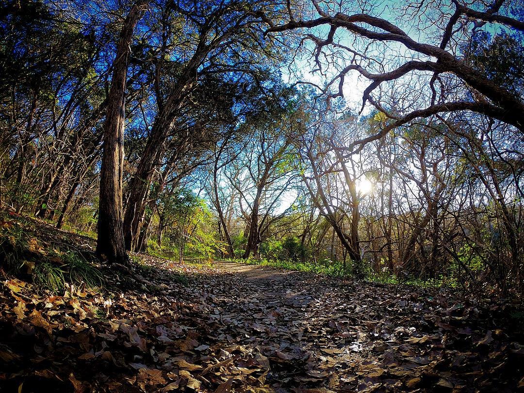 Cameron Park2