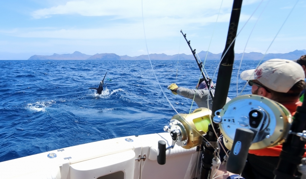 Get Hooked 4