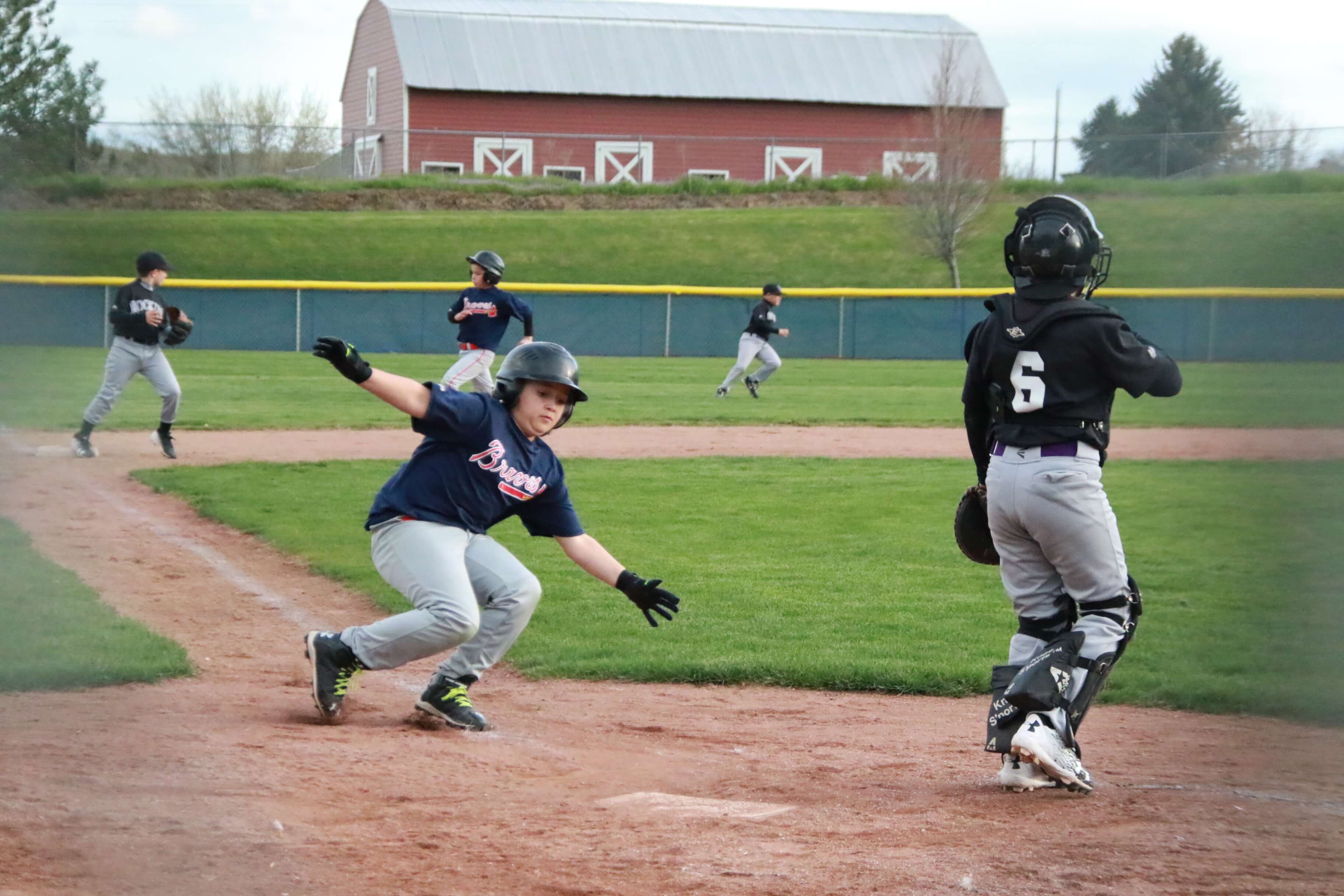 McGonagle Park Little League Complex 3 (1)