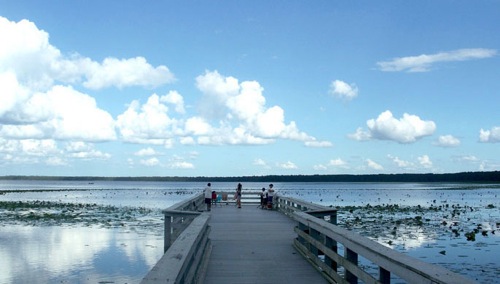 Newnans Lake 4