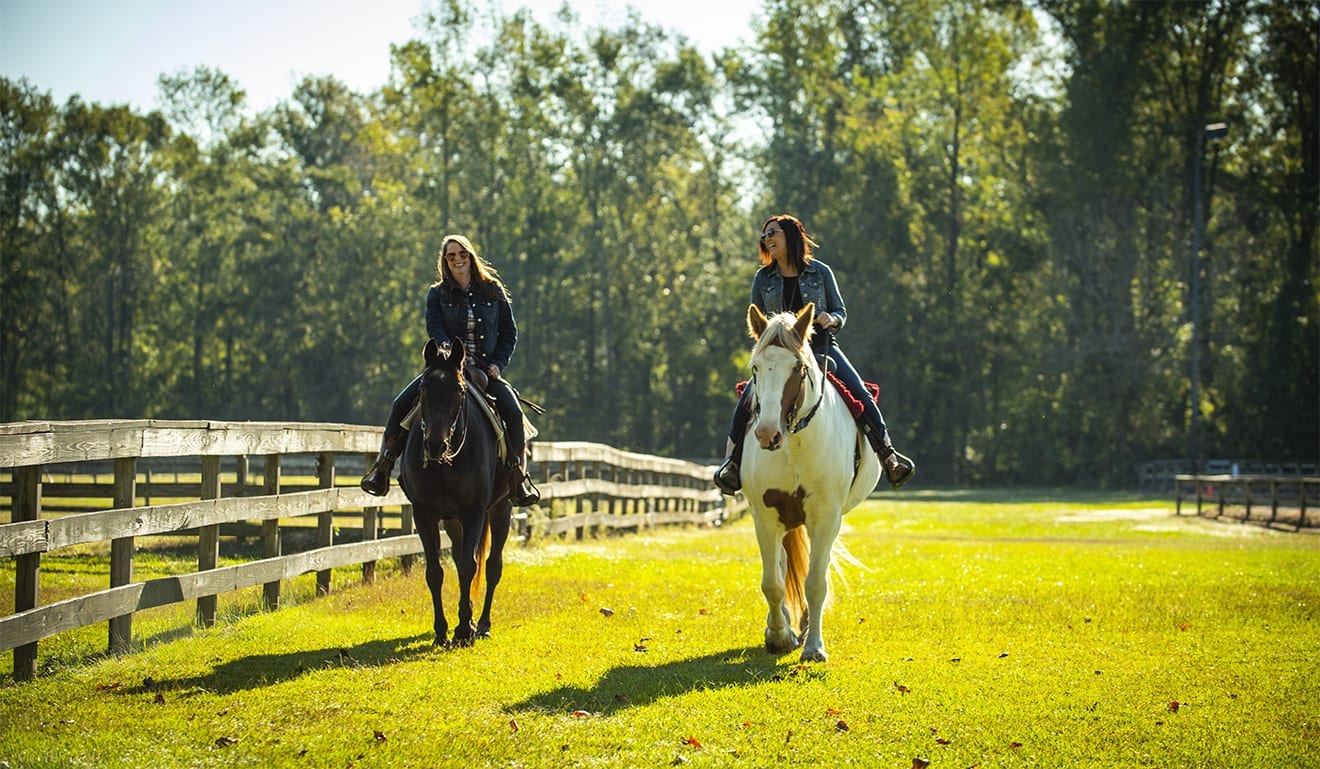DSC_2648_HORSES_LR