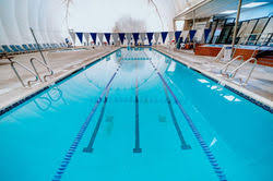 new windsor sportsplex.   .jpeg