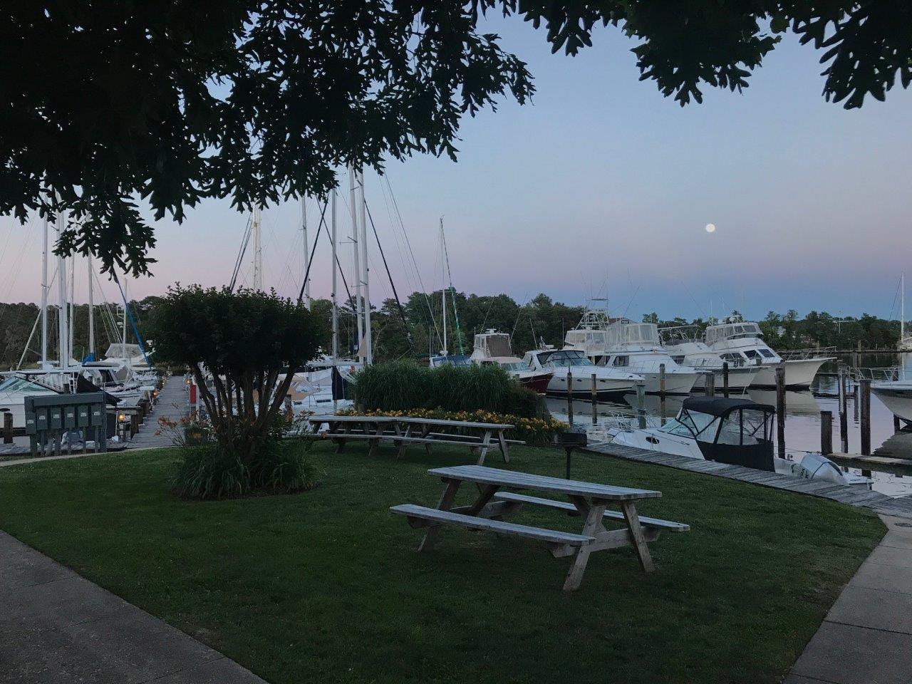 Spring Cove Marina dusk