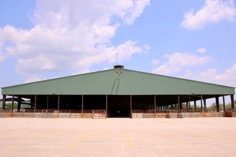 Arena B 5.jpg