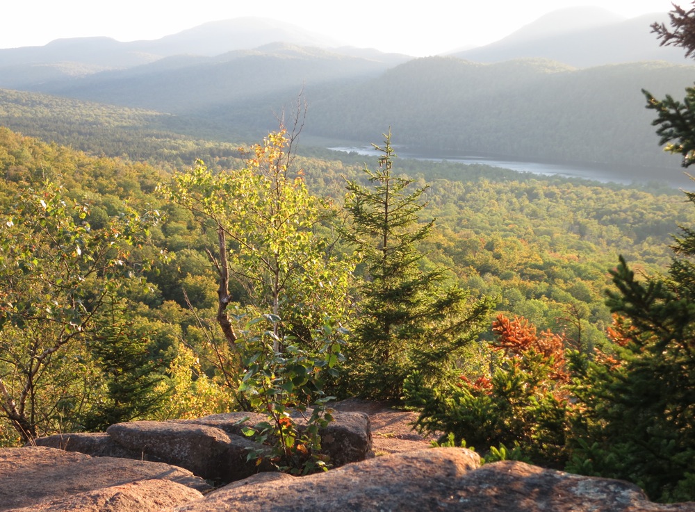 Balm of Gilead Mountain 3