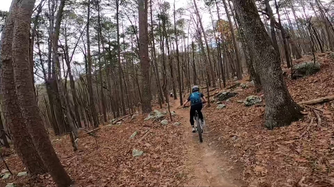 Carnasaw Trail 4