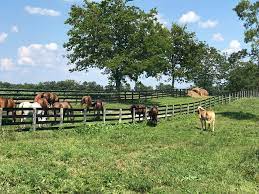 West Meadow Farm